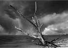 Kate Unwin_Lovers Key Storm brewing.jpg